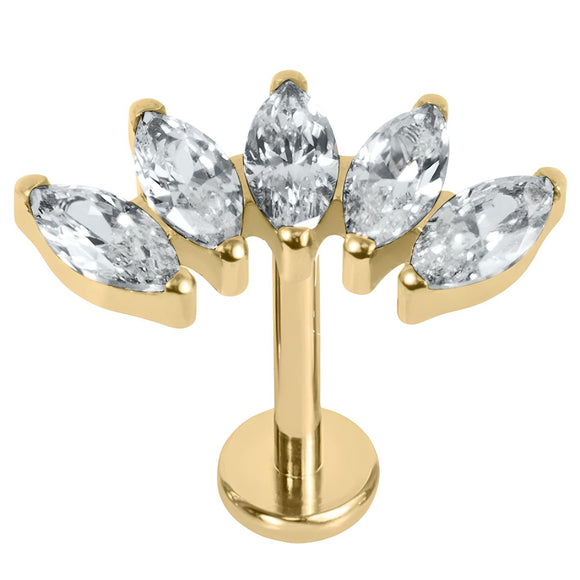 PIERCING WITH Gold Titanium 5 Gem Marquise Fan